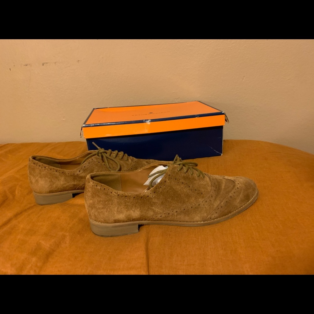 ✨SUEDE OXFORDS✨